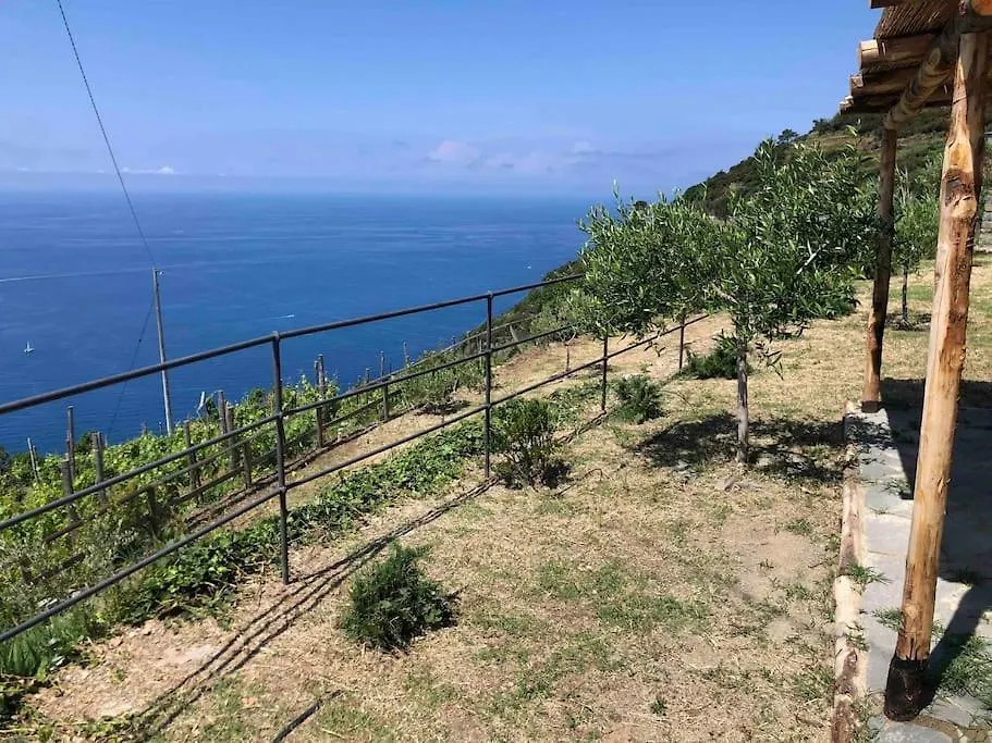 Orangehouse Cinque Terre. Private Parking Villa Riomaggiore Holiday home