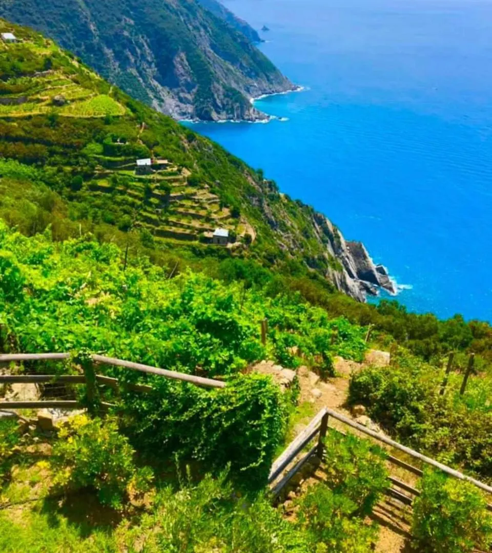 Orangehouse Cinque Terre. Private Parking Villa Riomaggiore Holiday home